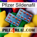 Pfizer Sildenafil 05